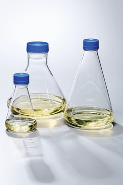 Nalgene&trade; Single-Use PETG Erlenmeyer Flasks with Plain Bottom: Sterile