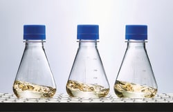 Nalgene&trade; Single-Use PETG Erlenmeyer Flasks with Plain Bottom: Sterile