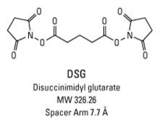 DSG (disuccinimidyl glutarate)