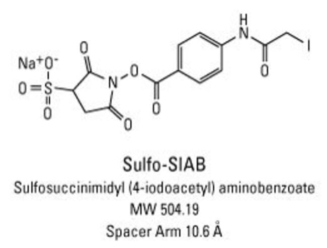 Chemical structure of Sulfo-SIAB crosslinking reagent