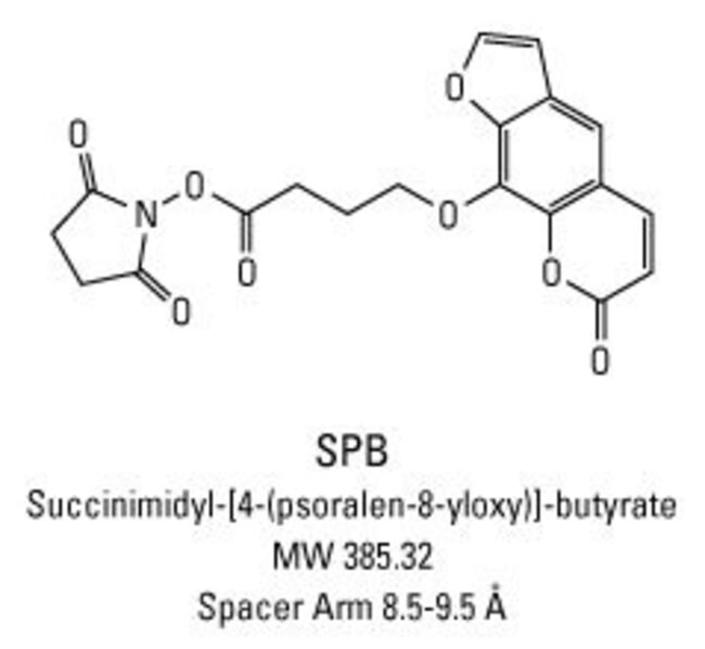 Chemical structure of SPB crosslinking reagent