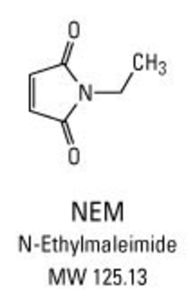 Structure and properties of NEM: