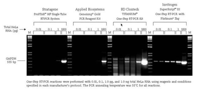 The SuperScript&reg; One-Step RT-PCR System with Platinum® <i>Taq</i> DNA Polymerase.