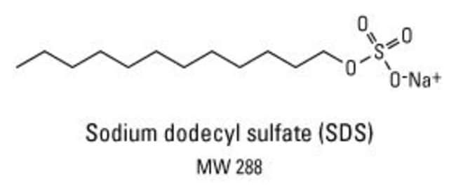 Resultado de imagen de SDS lauryl sulfate sodium