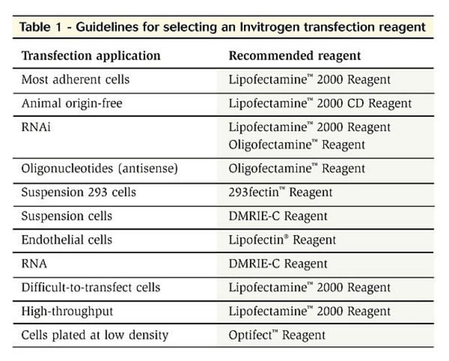 Guidelines for selecting a transfection reagent