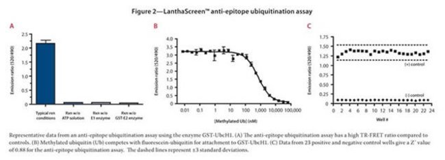 Figure 2-LanthaScreen&#153; anti-epitope ubiquitination assay