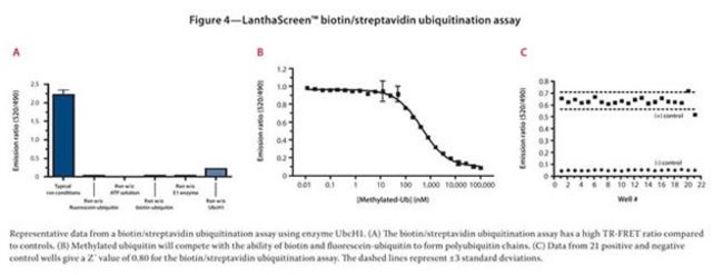 Figure 4-LanthaScreen&#153; biotin/streptavidin ubiquitination assay