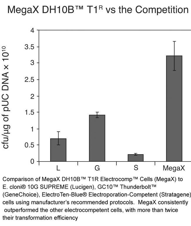 MegaX DH10B™ T1<sup>R</sup> cells versus the competition.