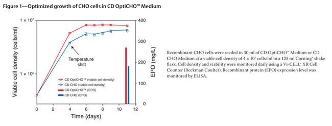 Figure 1&#151;Optimized growth of CHO cells in CD OptiCHO&#153; Medium