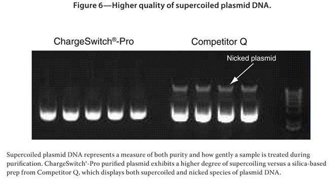 ChargeSwitch-Pro Plasmid Miniprep Kit - Thermo Fisher Scientific