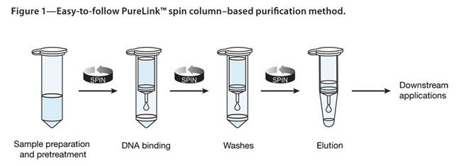 Spin column