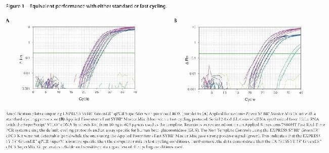 Equivalent performance with either standard or fast cycling.