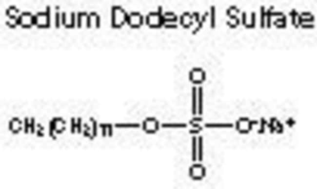 UltraPure Sodium Dodecyl Sulfate (SDS) - Thermo Fisher Scientific