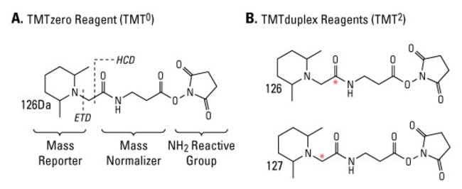 Structural design of the amine-reactive Tandem Mass Tag&#8482; Reagents