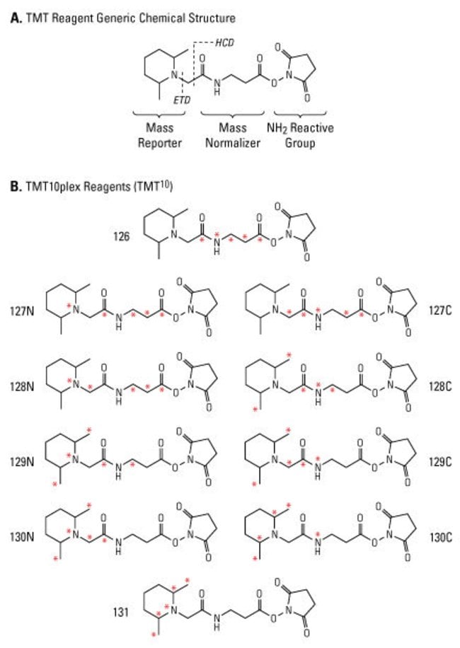Structural design of the amine-reactive Tandem Mass Tag™ Reagents