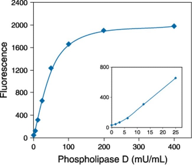 Quantitation of phospholipase D from Streptomyces chromofuscus using the Amplex&reg; Red Phospholipase D Assay Kit.
