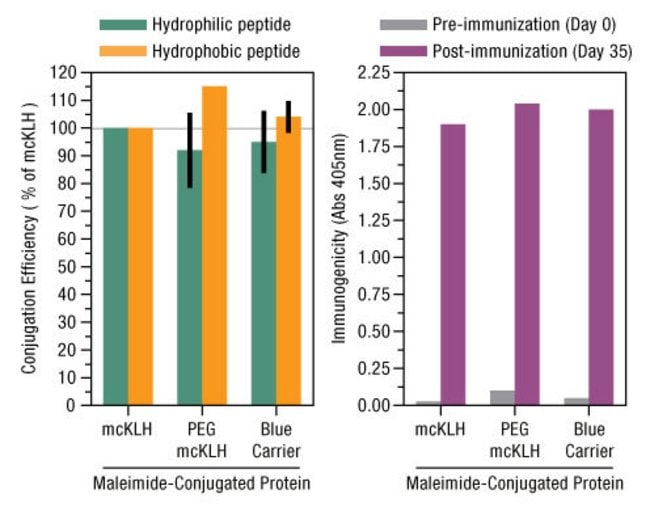 Efficient peptide conjugation and high immunogenicity