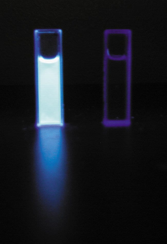 Fluorescence enhancement of 1,8-ANS upon binding to protein.