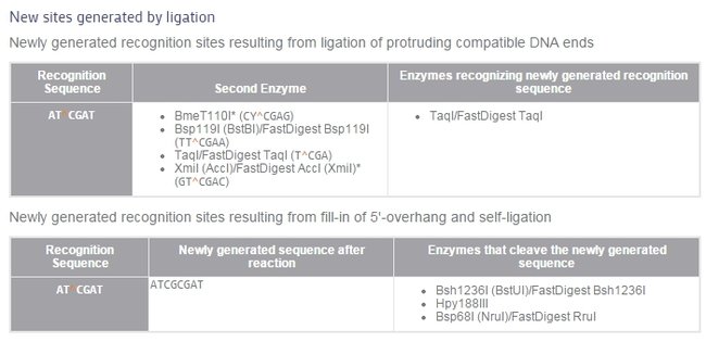 New sites generated by ligation