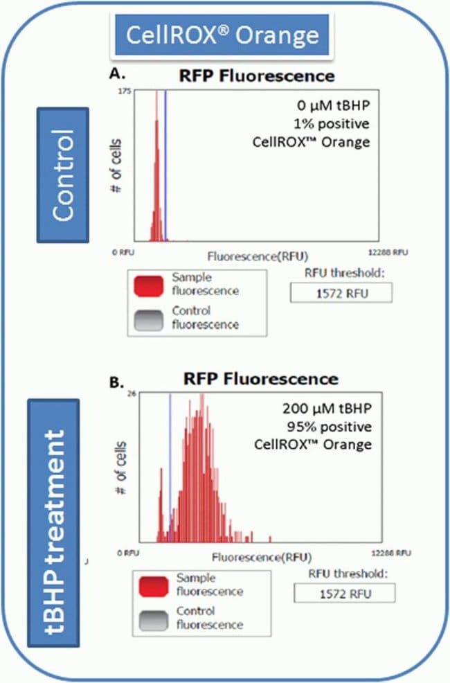 Detection of Oxidative stress using CellROX&reg; orange and Tali® Image-Based Cytometer