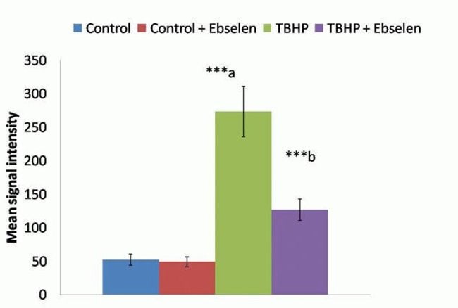 Tert-butyl Hydroperoxide (TBHP) Induced Oxidative Stress Measured with CellROX™ Orange Reagent in Bovine Pulmonary Endothelial Cells (BPAE)