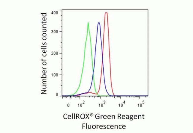Cells treated with the oxidant TBHP (red) have increased staining with the CellROX® Green reagent compared to cells pretreated with the antioxidant N-acetylcysteine (blue) and control cells (green).