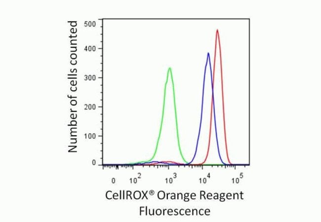 Cells treated with the oxidant TBHP (red) have increased staining with the CellROX® Orange reagent compared to cells pretreated with the antioxidant N-acetylcysteine (blue) and control cells (green).