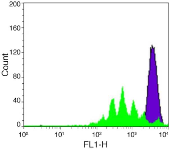 Flow cytometric analysis of human peripheral blood lymphocytes stained with CellTrace™ CFSE.