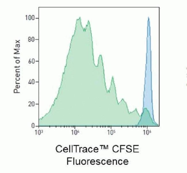 Generational tracing using CellTrace™ CFSE