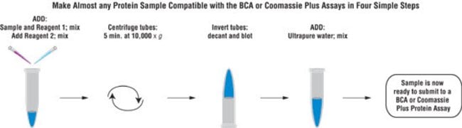 Protocol summary for the Compat-Able Protein Assay Preparation Reagent Set