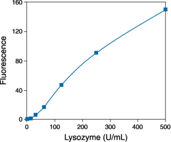 Detection of lysozyme activity using the EnzChek&reg; Lysozyme Assay Kit.