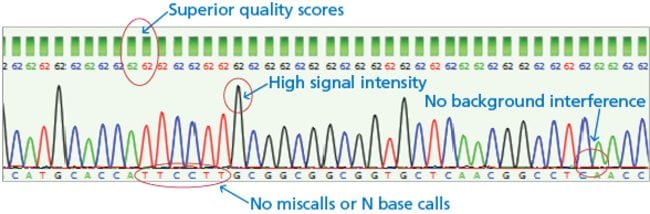 Fig. 1. Sequencing results when treated with ExoSAP-IT