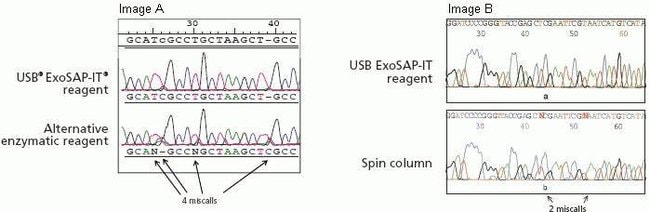 Fig. 3, Summary of ExoSAP-IT PCR Product Treatment