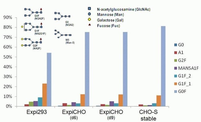 expicho-expression-system-kit-thermo-fisher-scientific