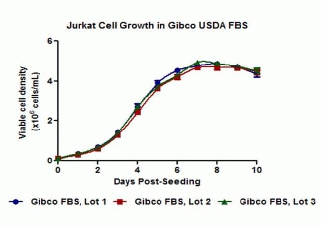 Jurkat Cell Growth in GibcoÂ® USDA FBS: