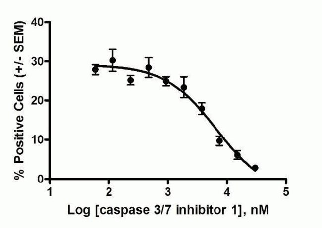 Specificity of CellEvent™ Caspase-3/7 Green Detection Reagent ( Cat. No. C10423), demonstrated with Caspase 3/7 Inhibitor 1
