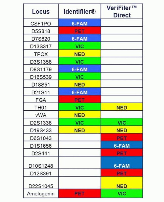 VeriFiler Direct PCR Amplification Kit - Thermo Fisher Scientific