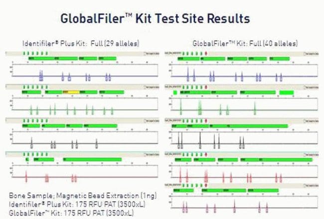 Data Comparison of a bone sample amplified with the Identifiler Plus and GlobalFiler kits