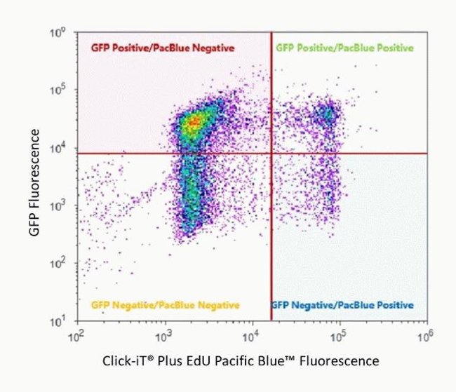 ClickiT Plus EdU Pacific Blue Flow Cytometry Assay Kit Thermo Fisher