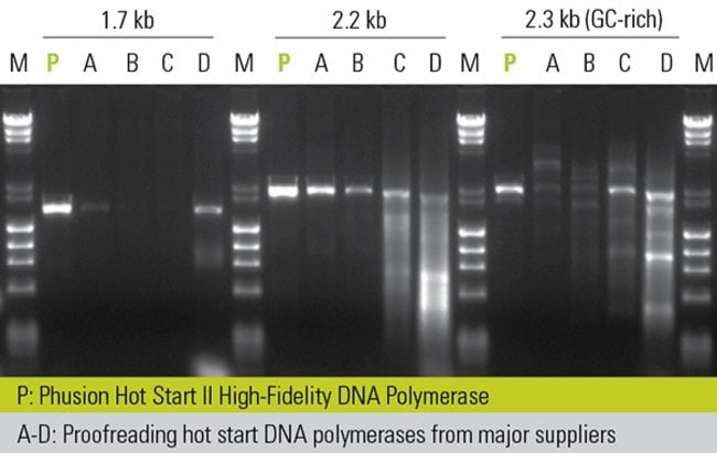 Phusion Hot Start II DNA Polymerase provides extreme specificity and abundant yields