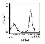 Mouse anti-Rat Kappa Light Chain Secondary Antibody, PE