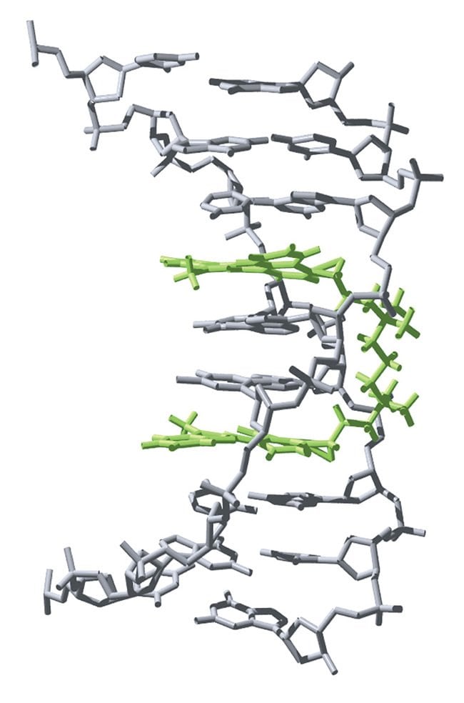 NMR solution structure of the TOTO®-1 dye bound to DNA.