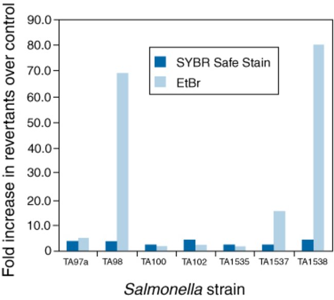 Ames test results for mutagenicity of SYBR&reg; Safe DNA Gel Stain and ethidium bromide.