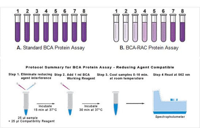 Pierce™ Microplate Bca Protein Assay Kit Reducing Agent Compatible 9674