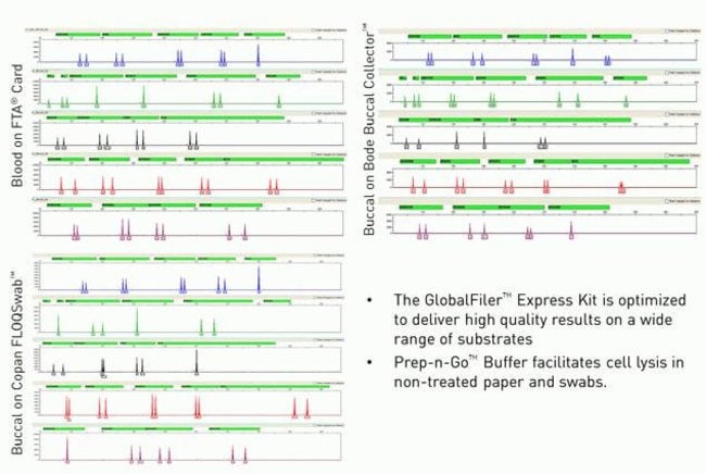 GlobalFiler Express data overview