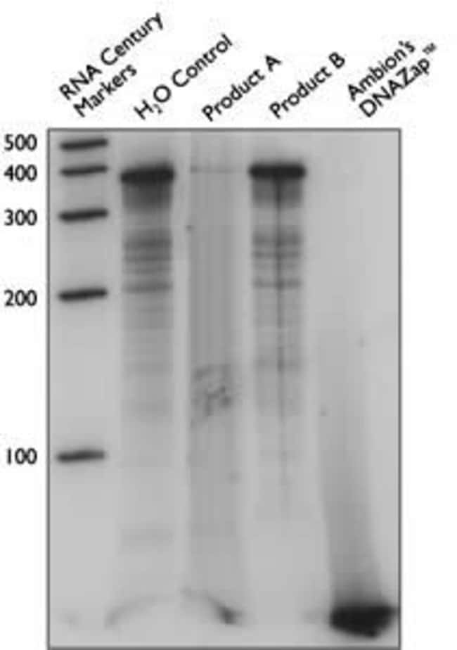 Effect of various DNA decontamination solutions on radiolabeled PCR products.