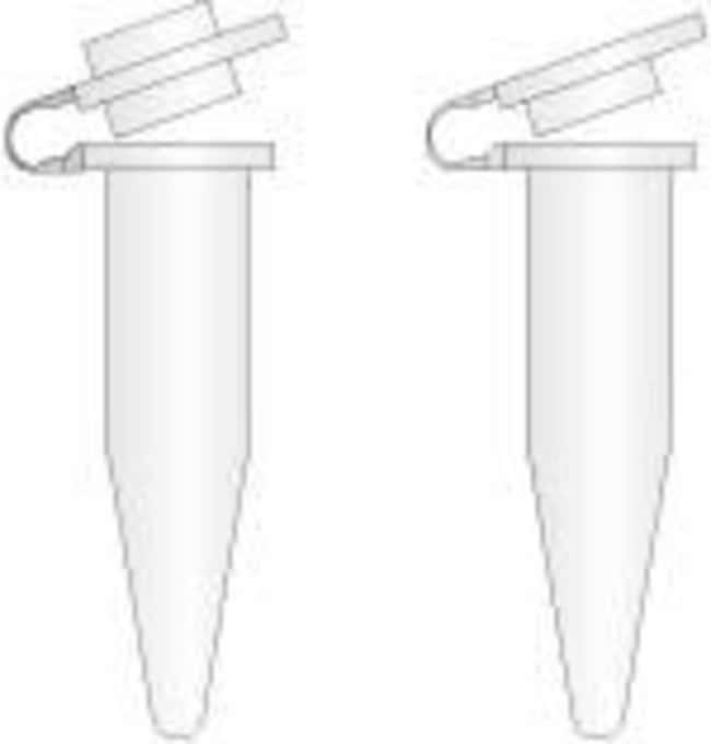 RNase-Free, thin-walled PCR tubes.