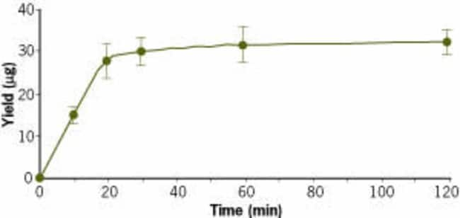 mMESSAGE mMACHINE® reaction time course.