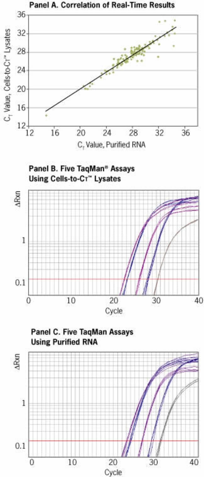 Correlation of real-time PCR results.