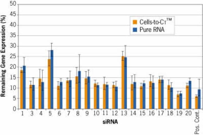 Detection of siRNA-mediated reduction of gene expression.